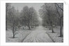 Kew Gardens in Winter by Peter A Ford
