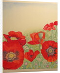 Poppy Field by Peter A Ford