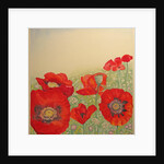 Poppy Field by Peter A Ford