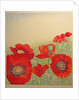 Poppy Field by Peter A Ford