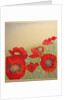 Poppy Field by Peter A Ford