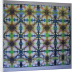 Itajime 1 by Peter A Ford