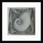 Helix 1 by Peter A Ford