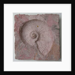 Helix 3 by Peter A Ford