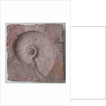 Helix 3 by Peter A Ford