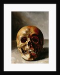 Skull by European School