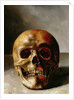 Skull by European School