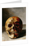 Skull by European School