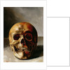 Skull by European School