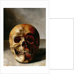 Skull by European School