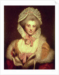Countess Lavinia Spencer 1781-2 by Joshua Reynolds