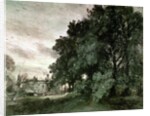 Study of Trees by John Constable