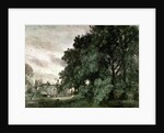 Study of Trees by John Constable