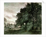 Study of Trees by John Constable
