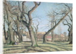 Chestnut Trees at Louveciennes, 1872 by Camille Pissarro