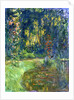 Corner of the pond in Giverny, 1917 by Claude Monet