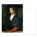 Young Man with Cap and Gloves, c.1515 by Titian