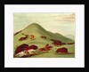 The Buffalo Hunt by George Catlin