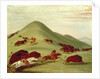 The Buffalo Hunt by George Catlin