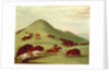 The Buffalo Hunt by George Catlin