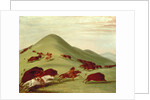 The Buffalo Hunt by George Catlin