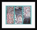 SGRAFFITO TRIPTYCH, 2013 by Peter McClure