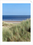DURHAM COAST No.1, 2015 (photography} by Peter McClure