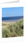 DURHAM COAST No.1, 2015 (photography} by Peter McClure