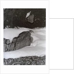 VINTAGE B&W PHOTO No.3, 1985 by Peter McClure