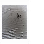 VINTAGE B&W PHOTO No.4, 1985 by Peter McClure