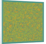 PAN'S LABYRINTH, 2017 by Peter McClure