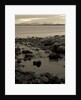 KINTYRE... PLUS.1, 2017 by Peter McClure