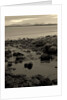 KINTYRE... PLUS.1, 2017 by Peter McClure