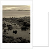 KINTYRE... PLUS.1, 2017 by Peter McClure