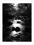 KINTYRE... PLUS. 18, 2017 by Peter McClure