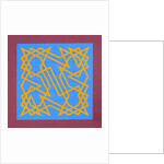 Knights Talisman, 2011 by Peter McClure