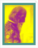Z...THE ARCH-PRIEST, 2013 by Peter McClure