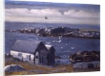 The Gulls, Monhegan, c.1913 by George Wesley Bellows