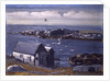 The Gulls, Monhegan, c.1913 by George Wesley Bellows