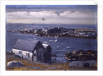 The Gulls, Monhegan, c.1913 by George Wesley Bellows