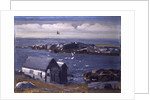 The Gulls, Monhegan, c.1913 by George Wesley Bellows