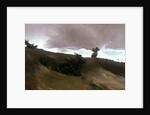 The West Wind, 1891 by Winslow Homer