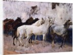 Horses at Palma, Majorca, Spain, 1908 by John Singer Sargent