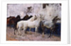Horses at Palma, Majorca, Spain, 1908 by John Singer Sargent