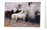 Horses at Palma, Majorca, Spain, 1908 by John Singer Sargent