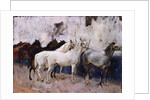 Horses at Palma, Majorca, Spain, 1908 by John Singer Sargent