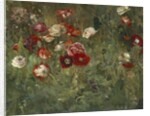 A Bed of Poppies, 1909 by Maria Oakey Dewing