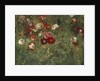 A Bed of Poppies, 1909 by Maria Oakey Dewing