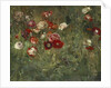 A Bed of Poppies, 1909 by Maria Oakey Dewing