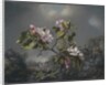 Apple Blossoms and Hummingbird, 1871 by Martin Johnson Heade